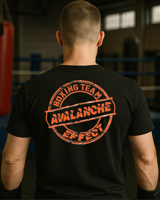 AVALANCHE EFFECT short sleeve T-shirt (Original logo)